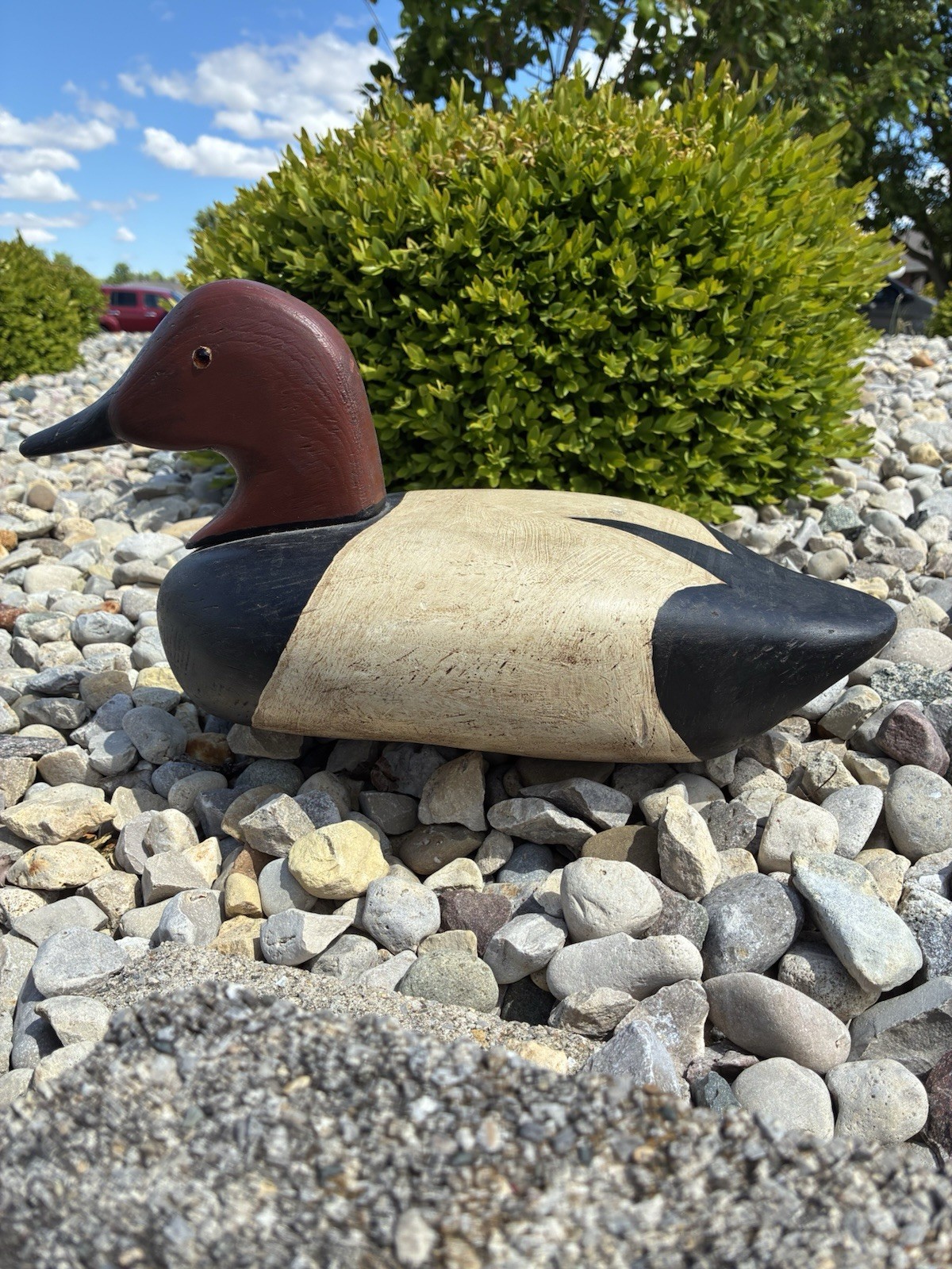 Vintage Canvasback Duck Hunting Decoy - Wood, Glass Eyes, Hand Painted