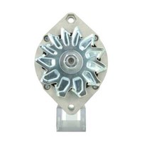 Lichtmaschine Deutz-Fahr 80A FüR OEM Mahle Neu Vgl.Nr. 565014080 / 72735514 / 73