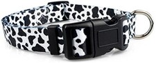 Dog Collar, Animal Themed Dog Collar for Male and Female Dogs Medium Cow Print