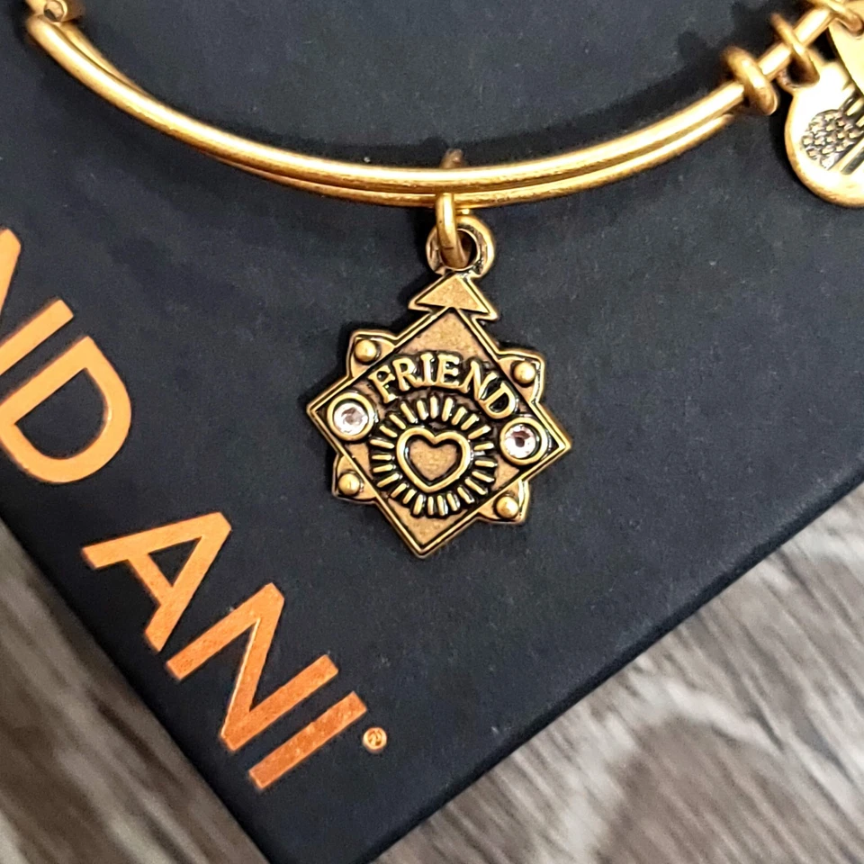 Alex And Ani Friend Charm Bracelet - Imagem 3 de 4