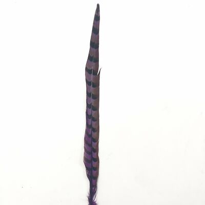 18'' to 20'' Reeves Pheasant Tail Feather - Purple ((SECONDS))