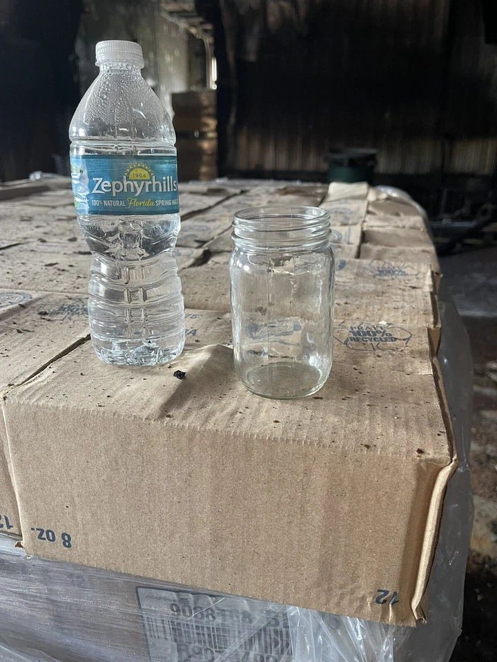 10 estojos de frascos de pedreiro de 8 oz (12 frascos em um estojo) 10 estojos = 120 frascos - Imagem 4 de 4