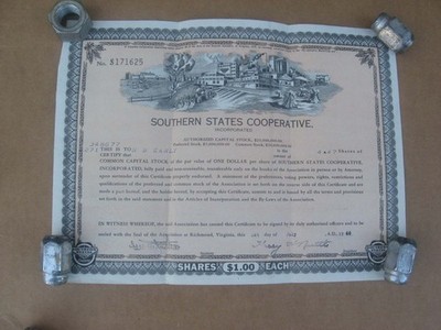 ORIGINAL OLD 1946 VA VIRGINIA STOCK CERTIFICATE SOUTHERN STATES COOPERATIVE