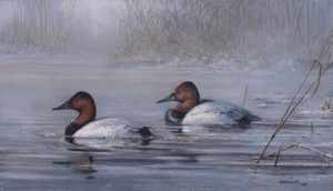Scott Zoellick-SPRING THAW S//N Duck Hunting Print