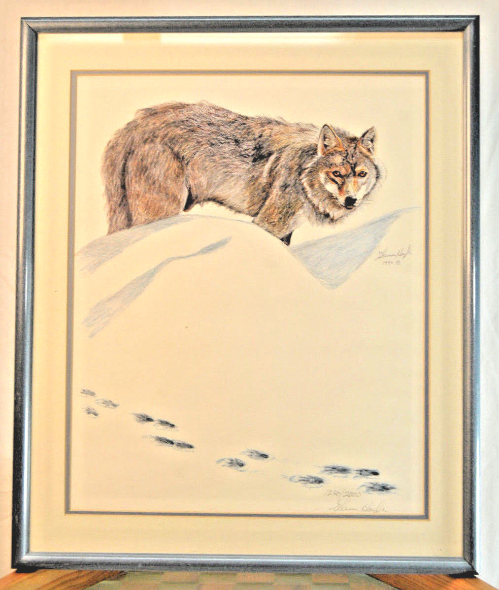 Wolf in Snow by Glenn Hoyle Signed & Numbered, Matted & Framed Under Glass