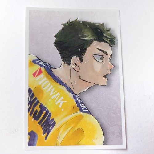 Haikyu Snap Photo Card KAGEYAMA SUGAWARA NISHINOYA OIKAWA USHIJIMA HOSHIUMI - Picture 12 of 19