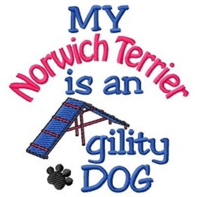 norwich terrier agility