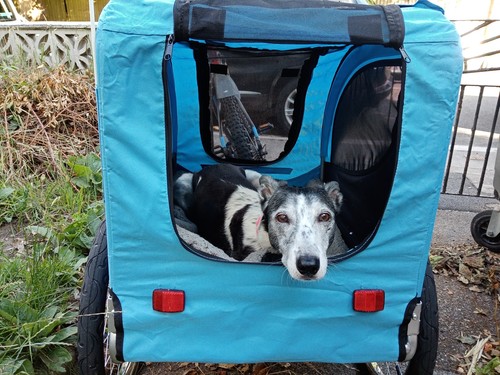Diy Dog Cart Behind Bike Homemade Bikes With Dog Baskets Homemade
