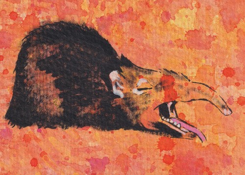 ACEO Original Watercolor Acrylic Art Card JKScribblesworth - Elephant Shrew