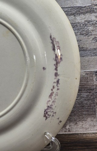Salem China Co. Bone China Plate, 10.75" USA, 23 kt. Gold Design, Vintage 1940s - Picture 7 of 8