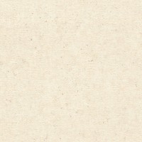 Vliestapete 520835 Tapete Uni Einfarbig 53 X 1005 Cm Rasch Factory V Beige