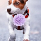 Bild 9 von 12