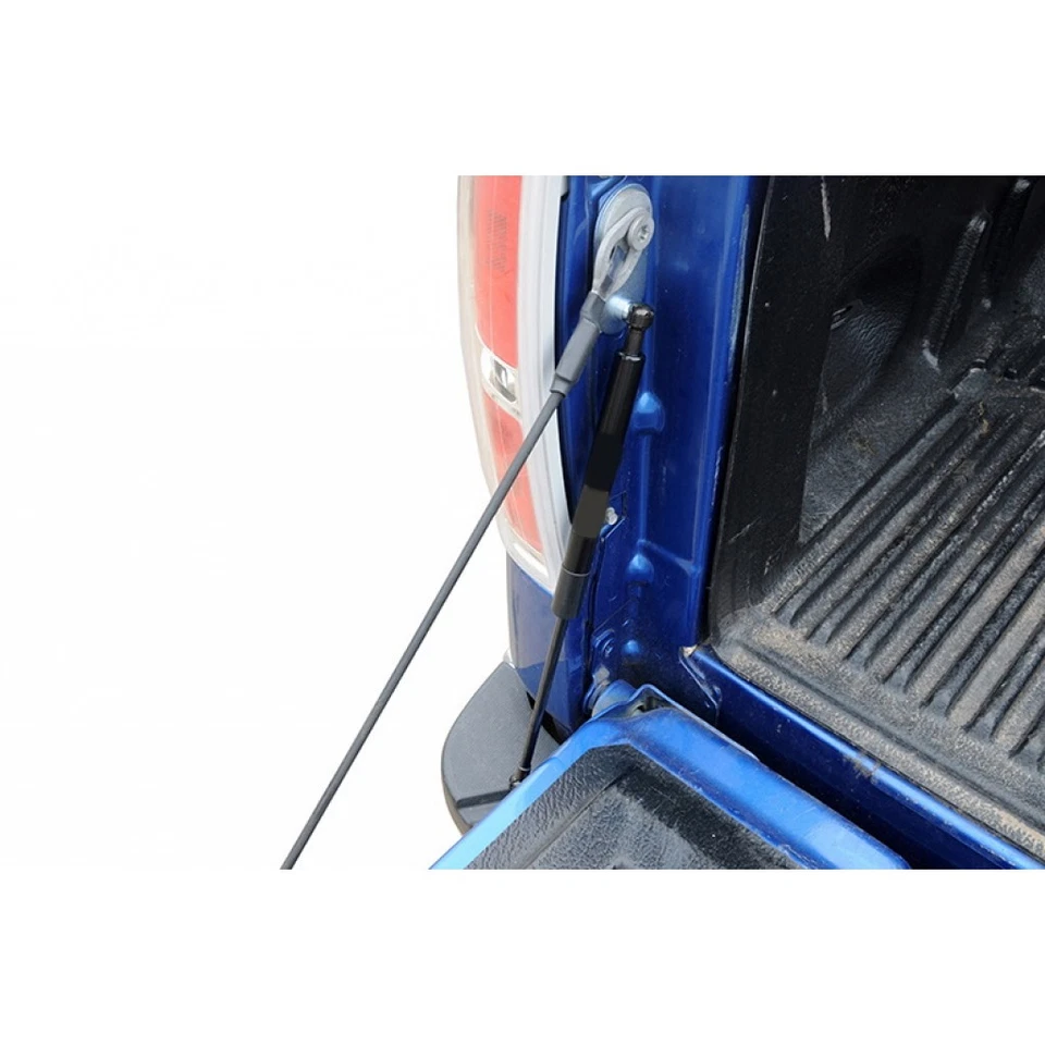 Asistente de puerta trasera Dee-Zee para Ford F-250 Super Duty 1999-2005 negro Foto 2 de 4