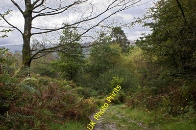 Foto A3 Die Sargstraße nach Rydal Town End \/NY3406 um 2011