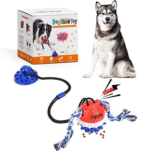 tug of war rope dog toy suction cup