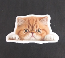 Cute Playful Kitty Cat Sticker 1.18" x 2.18" X 