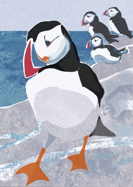 Nature Notebook: Puffin by Jane Smith (Notebook / blank book)