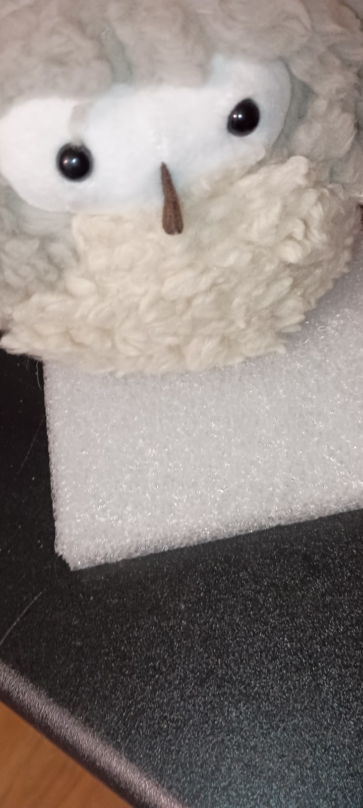 Picture 5 of 5