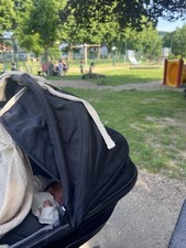 Quinny Moodd Babywanne Black Devotion 0-6  Mit Adpater