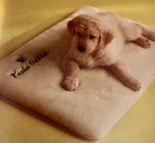    NIKKEN Kenko PetPad 20x29     Magnetic Therapy Pet Bed Cushion ULTRA-RARE   