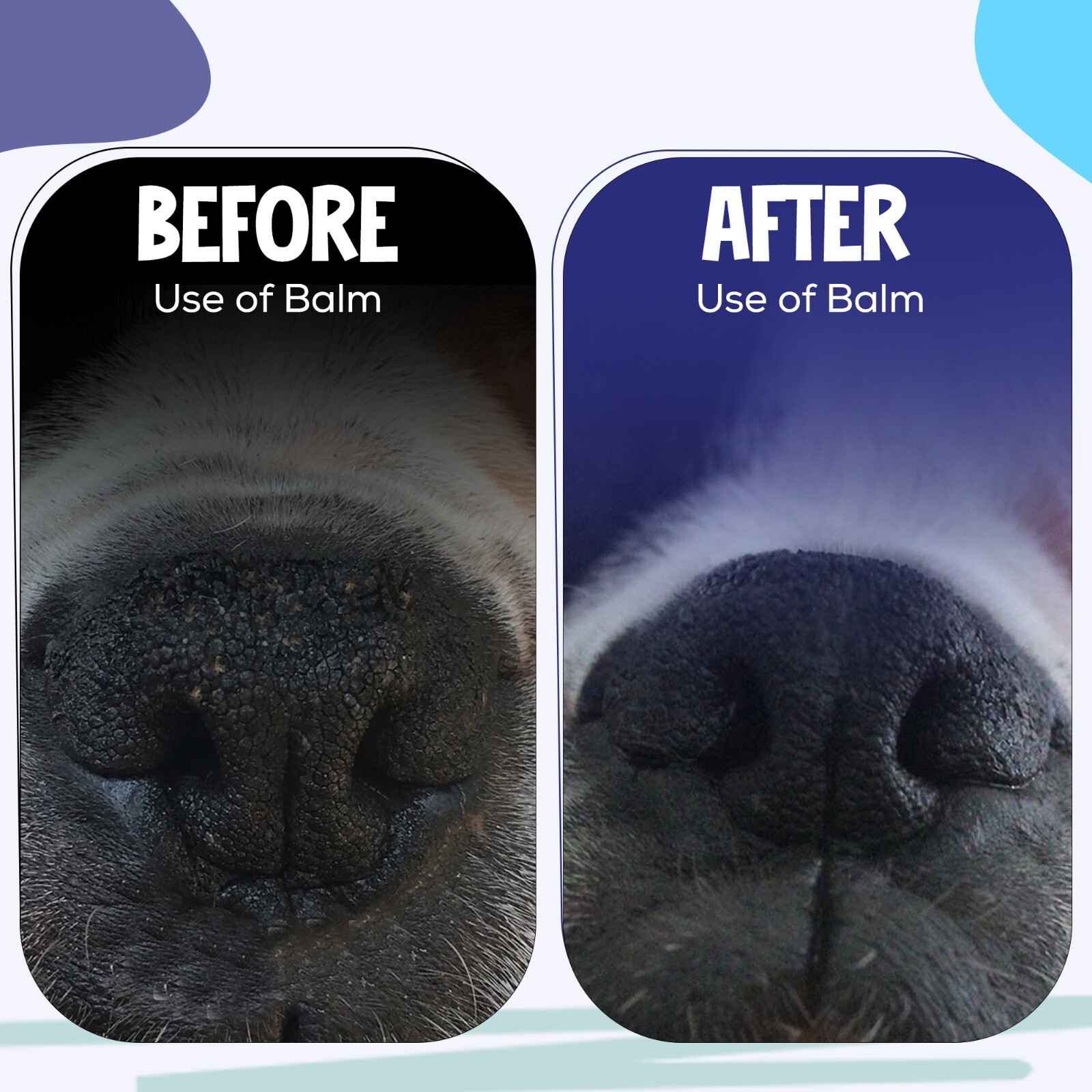 Dog Paw Balm with Shea Butter, Coconut Oil & Beeswax – 3-in-1 Natural Moisturize