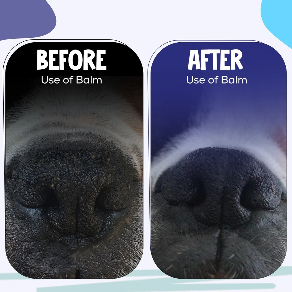 Paquete de 2 bálsamos para patas de perro con manteca de karité, aceite de coco y cera de abejas hidratantes naturales Foto 4 de 4