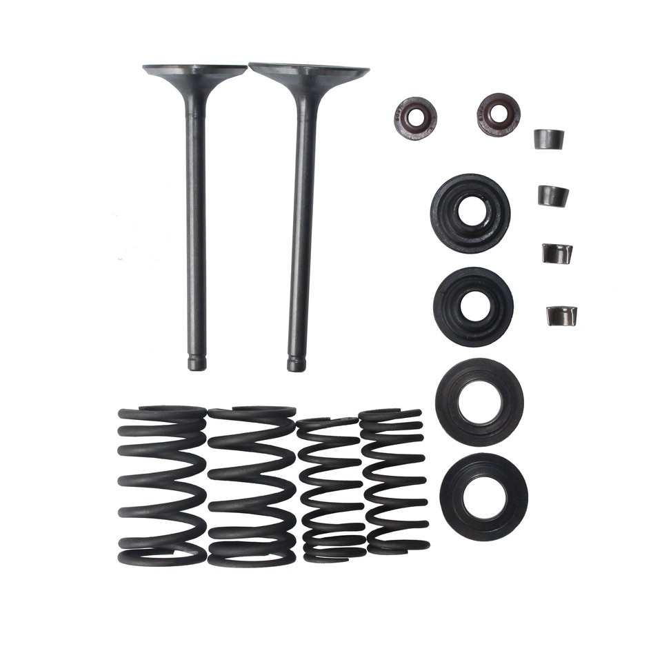 Intake Exhaust Valve Rebuild Kit 250cc CN250 Water Cooled 172mm Engine