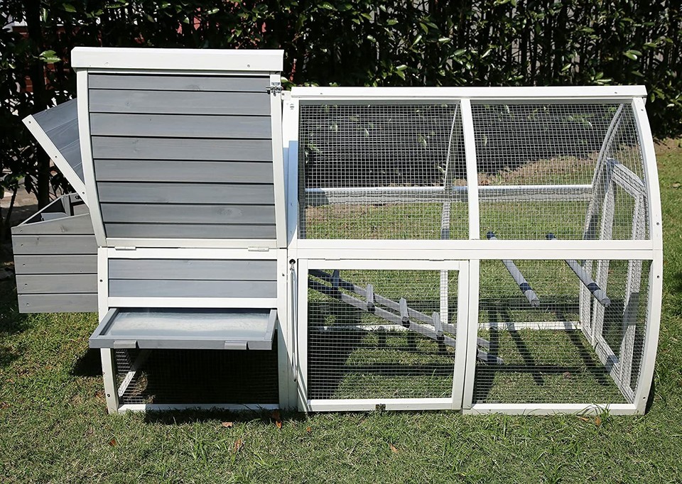 Pet Imperial® Grey Dorchester Large Chicken Coop Hen Poultry Ark House Run Nest eBay