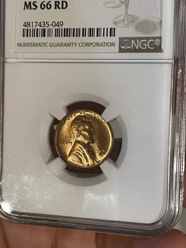 1937 D Lincoln Wheat Cent MS66RD NGC GRADED (049)
