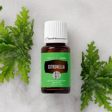 Young Living Citronella essential oils 15 Ml