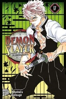 Demon Slayer - Kimetsu no Yaiba 17 von Gotouge, Koyoharu | Buch | Zustand gut - Bild 1 von 2