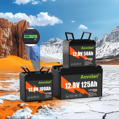 12V 125Ah 100Ah 50Ah Lithium Battery LiFePO4 Battery for Marine Wohnmobil RV