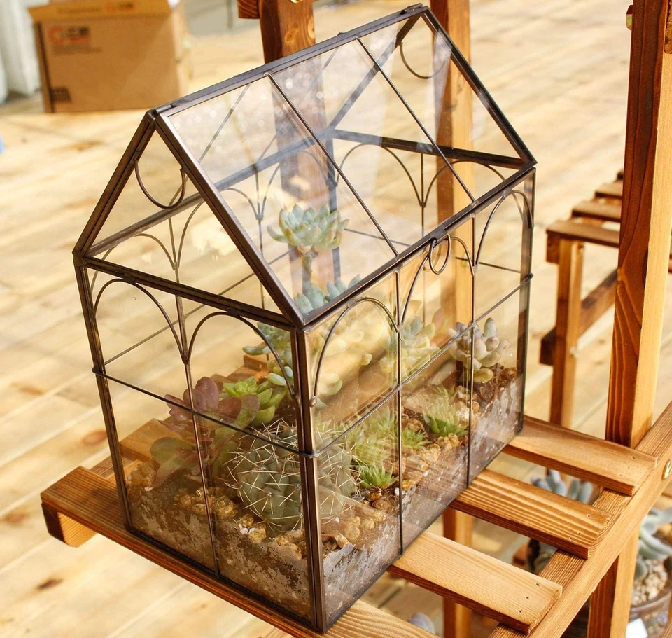 Hinged Roof Irregular Glass Terrarium for Indoor Succulents - 7.13 in Size - Image 4 of 4