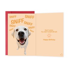 Funny Birthday Cards for Men Women, Hilarious Birthday Gifts for Family Friends