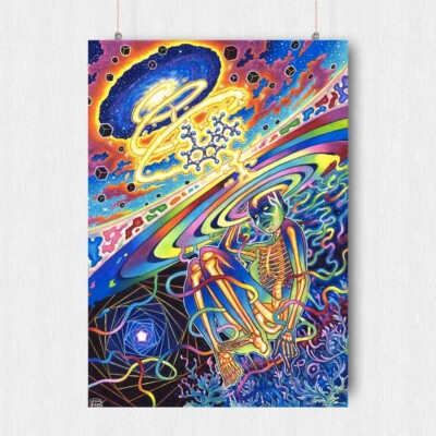 TRIPPY PSYCHEDELIC POSTER PRINT IMAGE WEIRD WOMEN WALL ART SIZE -A3 A4 ...