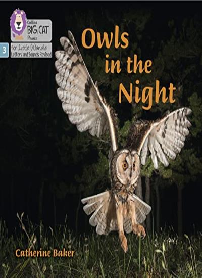 Owls in the Night: Phase 3 (Big Cat Phonics for. Baker, Cat** - Image 5