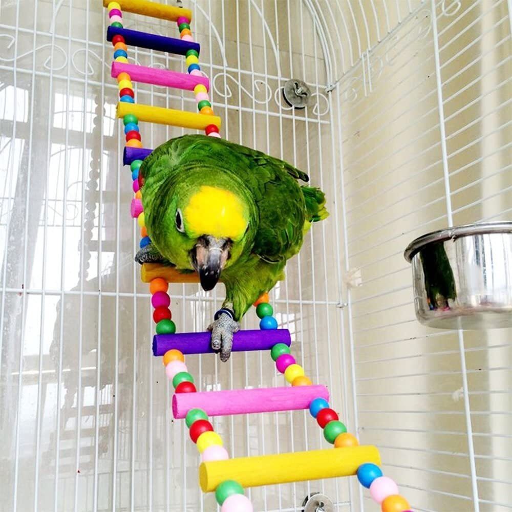 bird toys parakeet