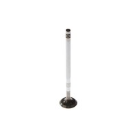 EinlaßVentil Freccia R6636/SCR