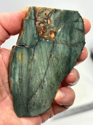 Gary Green Caldera Freedom Jasper  end Slab Cabbing Lapidary Combo Ship Avail