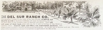 DEL SUR RANCH CO,S.CA Orchard Land Sales Offer by George Eakins PA 1896 Print Ad