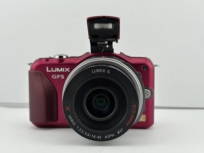 Panasonic LUMIX DMC-GF5 / LUMIX G X VARIO 14-42mm F3.5-5.6 ASPH