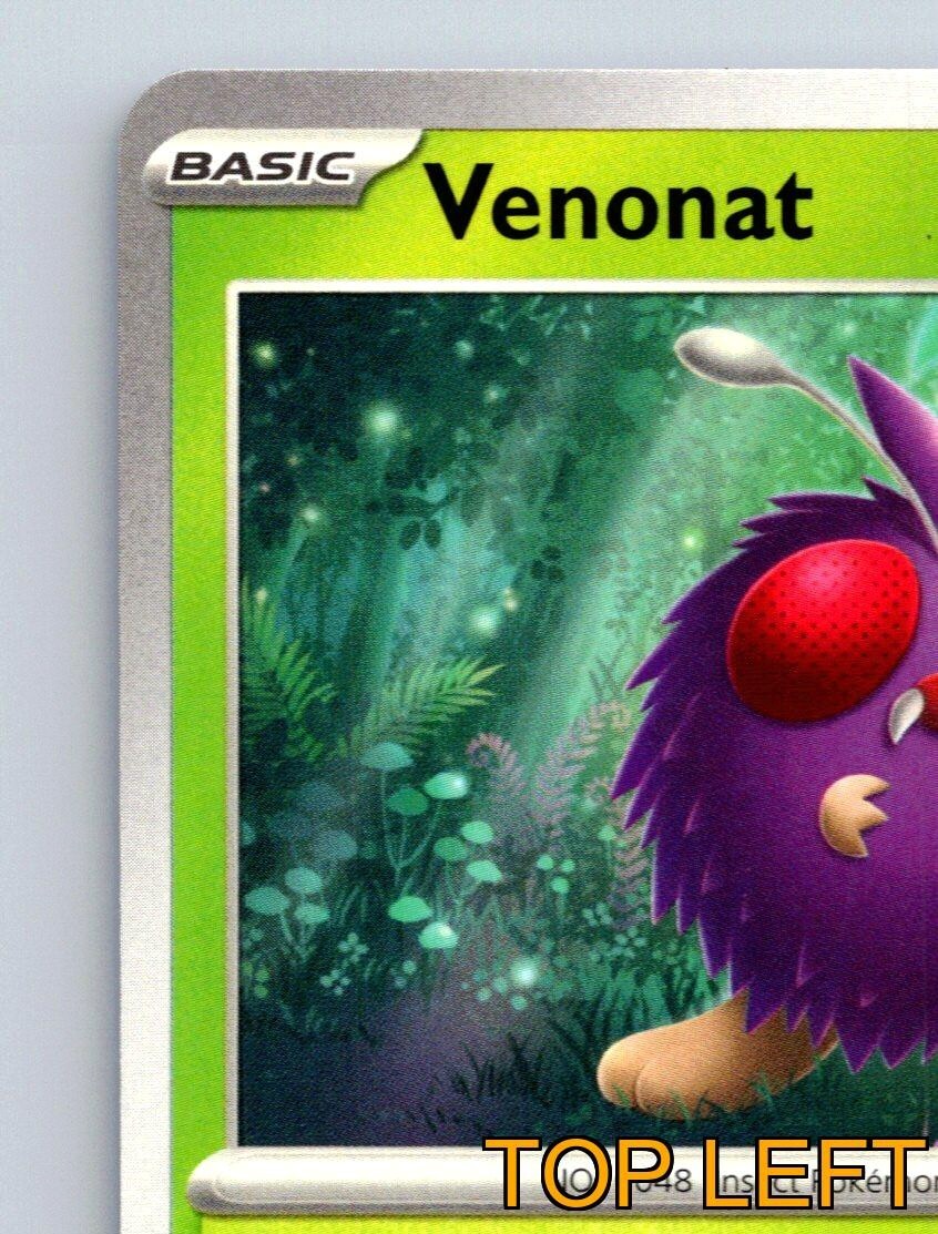 Venonat HP 70 Beam Attack Rare Green Pok Jungle Card | eBay Venonat HP 70 Beam Attack Rare Green Pok Jungle Card | eBay