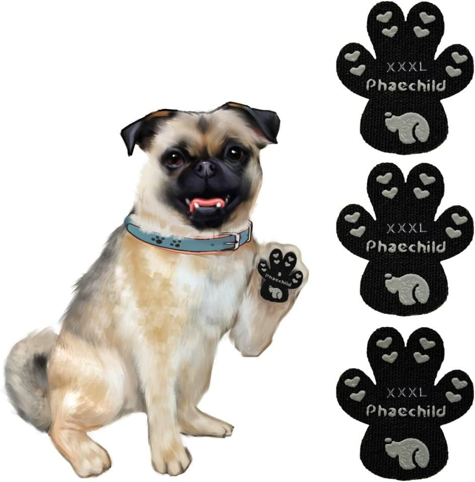 Pads Antiscivolo Cani: Protezione Zampe e Trazione Professionale