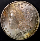 1885 MORGAN SILVER DOLLAR Toned FRESH FROM A LOCAL COLLECTION LOT AA 8027