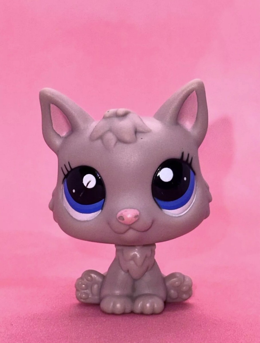 LPS #886 Shorthairt cat Chat européen Authentique Littlest Pet Shop
