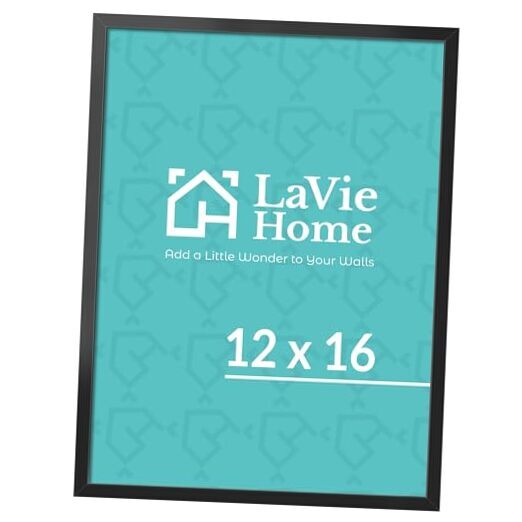 Picture Frame for Wall Display Picture Frame with HD Plexiglas, 12 12x16 Black