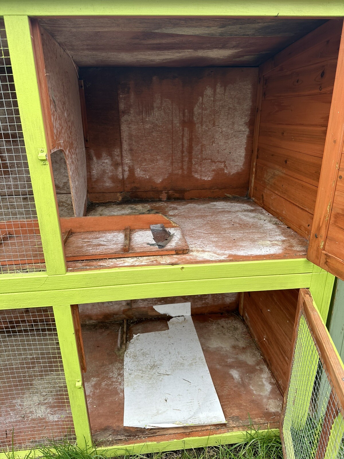 RABBIT HUTCH eBay