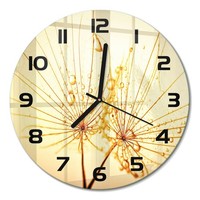Moderne Wanduhr Aus GehäRtetem Glas LöWenzahnsamen Schwarze Zeiger Fi30 Cm