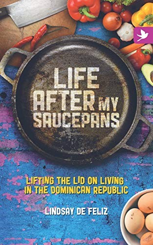 Life After My Saucepans: Lifting the Lid on Living in the Domini