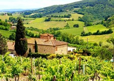 8x6ft Fabric Italian Vineyard Photography Backdrop Tuscany Countryside